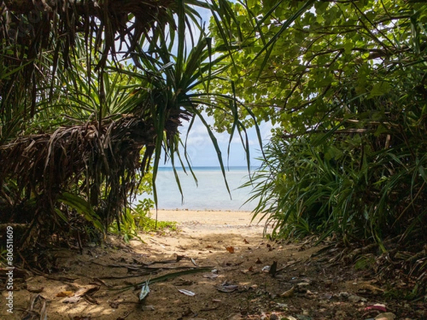 Obraz 観光で訪れた石垣島のビーチへ続く草のトンネル