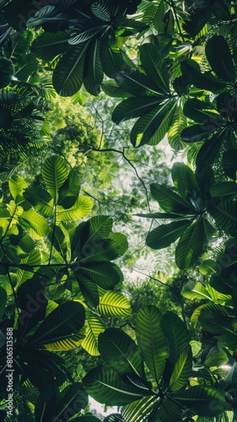 Obraz Tropical green leaves create a lush and vibrant background