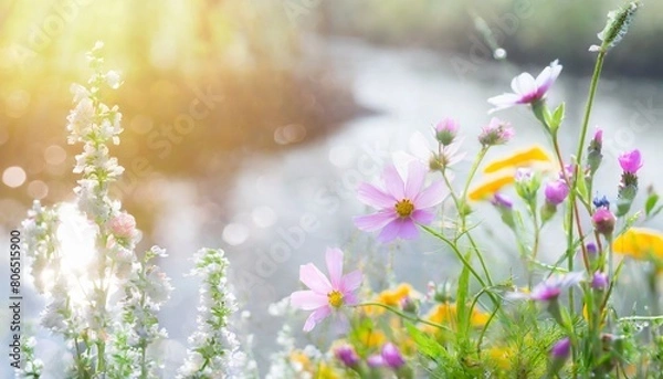 Fototapeta 川沿いに咲く美しい花、森の中の自然の風景