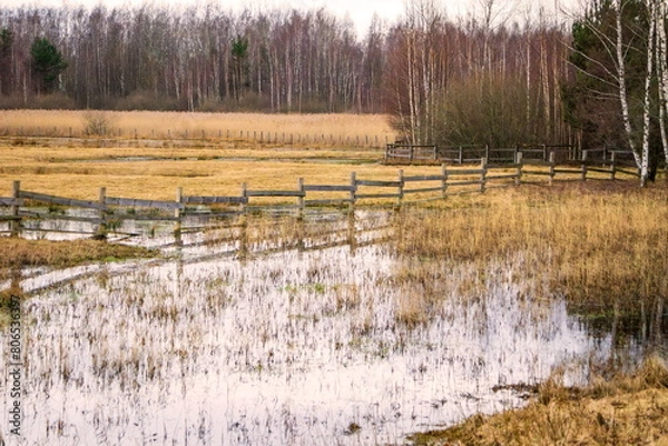 Obraz Spring landscape with flood waters