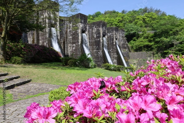 Fototapeta flowers in front of Honen'ike Dam in Kagawa, Japan