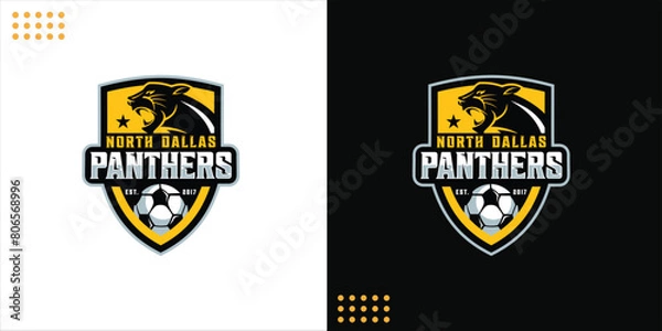 Obraz Panther sport vector logo concept on black background, design inspiration, logo