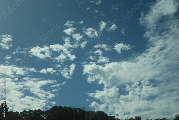 Fototapeta T-Rex Cloud