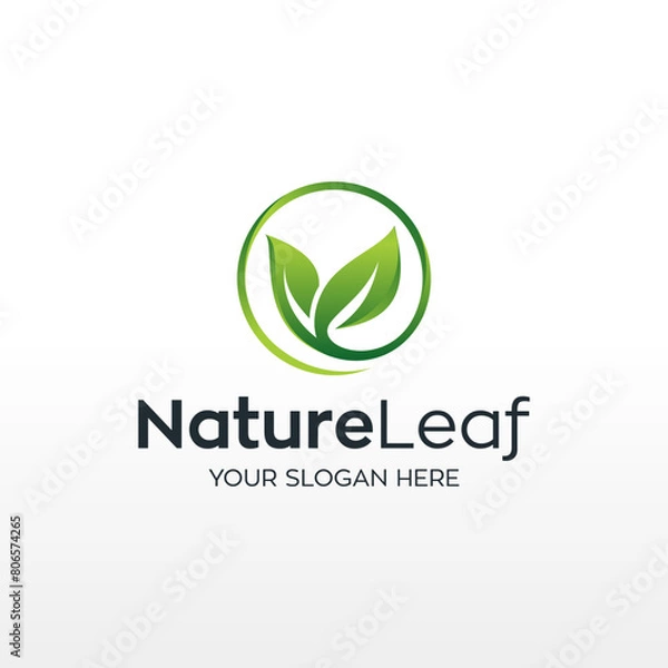 Obraz Nature Leaf vector logo template design