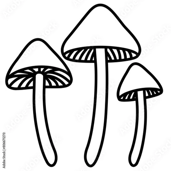 Obraz psilocybin line icon