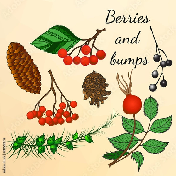 Fototapeta Set of forest berries and bumps in autumn style. Watercolor