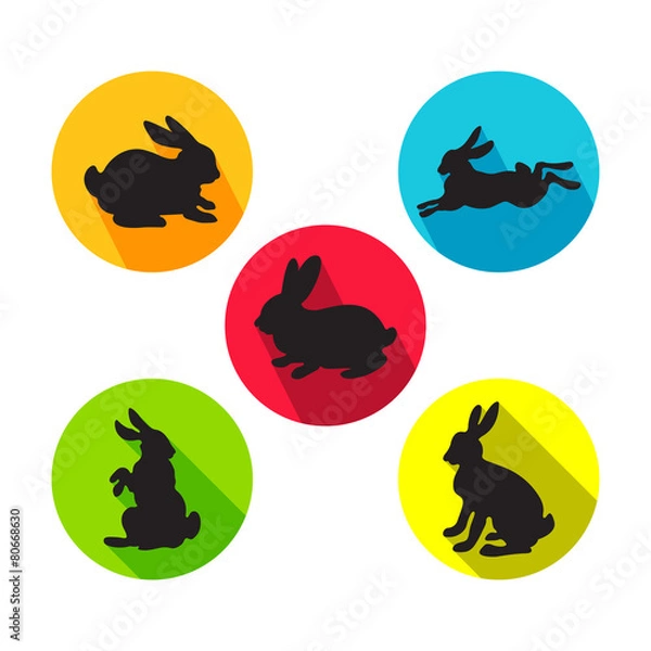 Fototapeta Set of rabbits in different positions. Vector illustration in