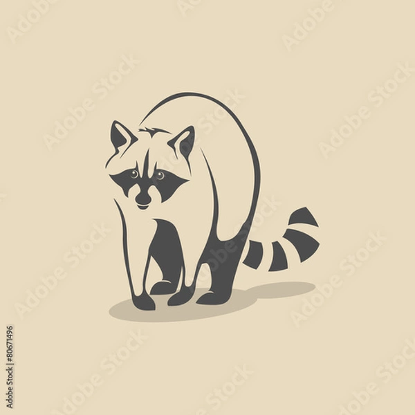 Obraz Raccoon icon.