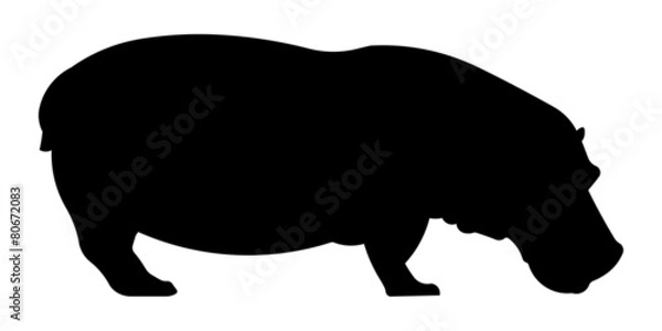 Obraz Nilpferd Silhouette