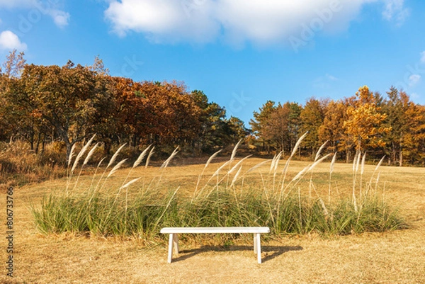 Obraz bench in autumn park