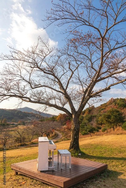 Obraz landscape with a tree
