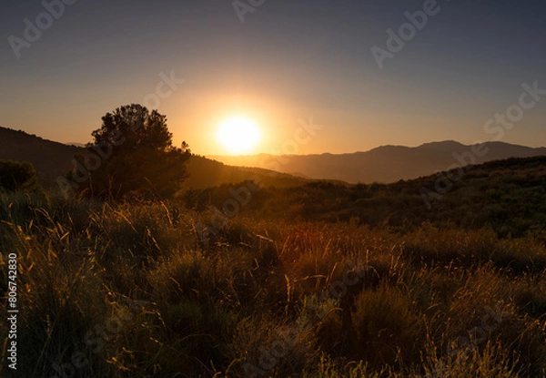 Obraz Atardecer de campo