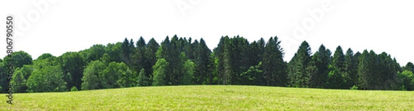 Obraz Forest edge with Meadow without Sky - Transparent PNG Background