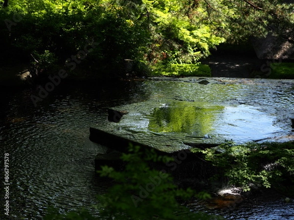 Obraz 夏らしい自然の中に作成した井戸形状の噴水