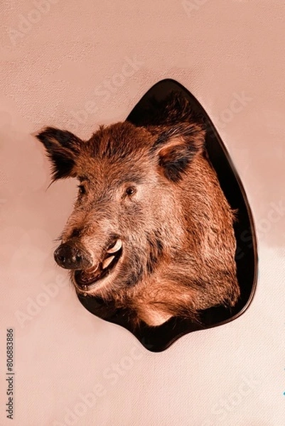 Obraz Wildschweintrophäe 2