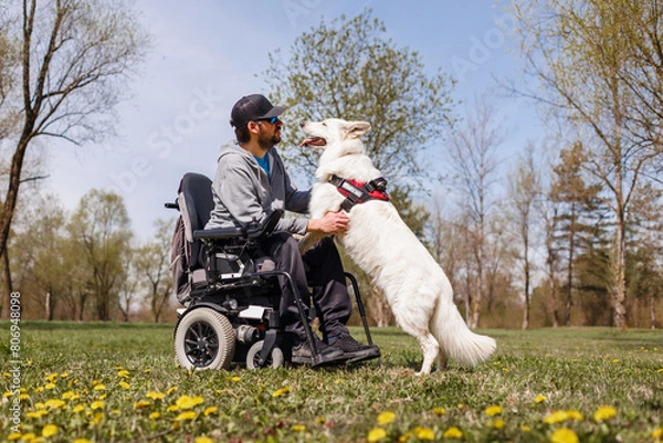 Fototapeta Man with disability outside in park with his service dog using electric wheelchair.