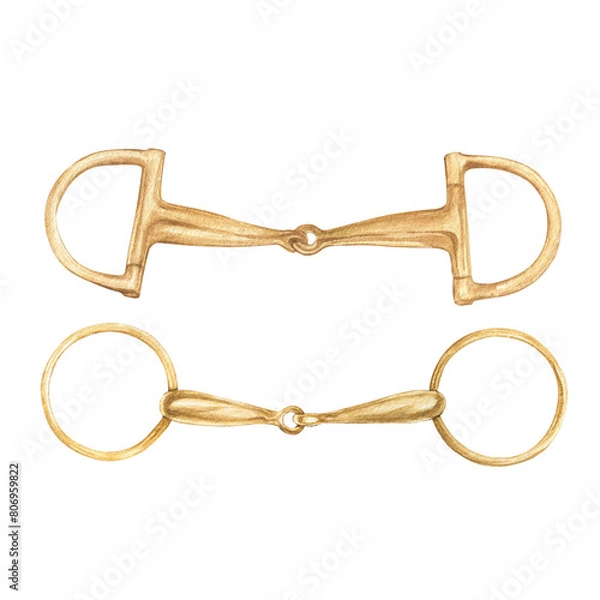 Fototapeta Watercolor illustration of golden snaffle, bit with D-Ring and circle rings. Equipment for horse riding set. Isolated. For cards, prints, decor