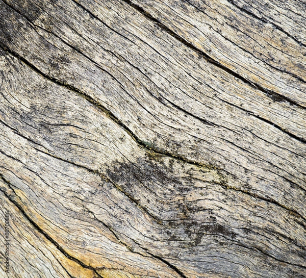 Fototapeta old wood texture