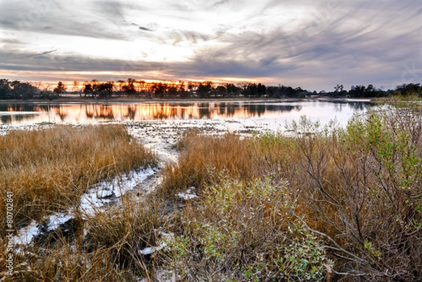 Obraz Naturalne łóżko ostrygowe o zachodzie słońca