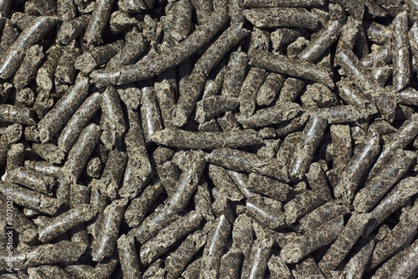 Obraz Pellets sunflower oil cake