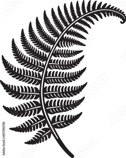 Fototapeta fern leaf isolated on black desain and white begraund