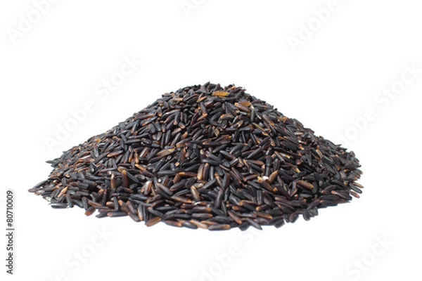 Obraz rice berry
