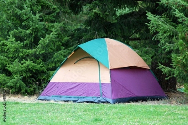 Obraz camping tent