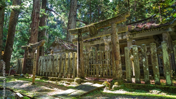 Fototapeta Mausoleums of Matsudaira Hide at Mt. Koya in Wakayama, Japan