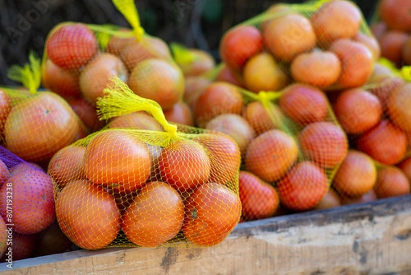 Obraz red tomatoes in yellow nets