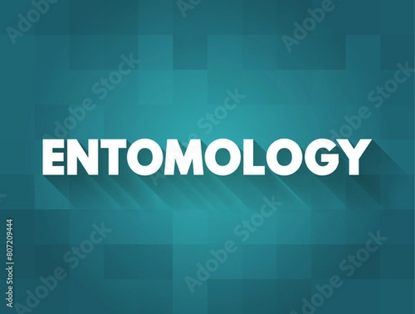 Fototapeta Entomology is the scientific study of insects, a branch of zoology, text concept background