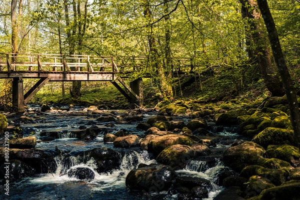 Obraz Wandern in Deutschland, Westerwald, Holzbachschlucht, Wasserfall