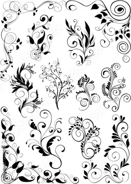 Obraz floral design elements