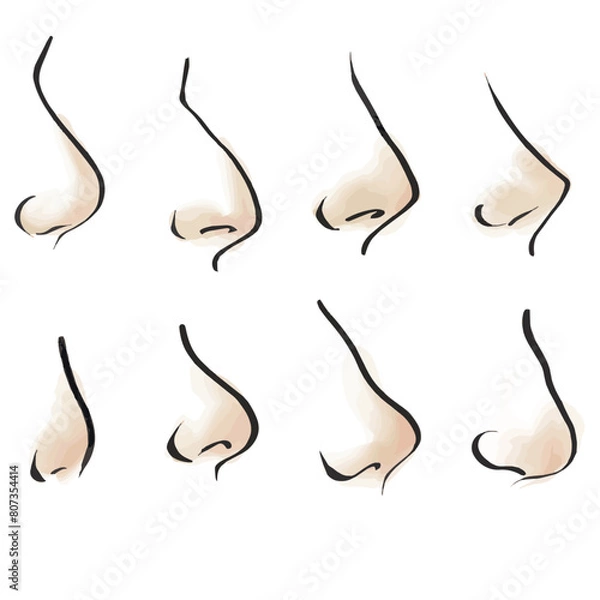Obraz Human nose of different shapes