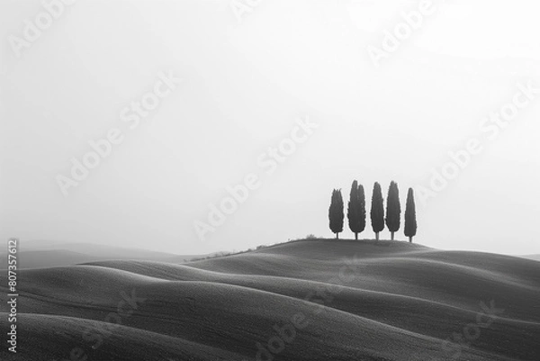 Obraz minimalist panorama of the Crete Senesi with some cypresses on the hills, solitude, minimal image