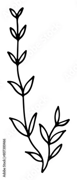 Fototapeta Flower Bouquet Svg, Flower svg, Bouquet svg, wildflowers svg, wildflowers, wedding svg, minimalist bouquet svg, cut files for Cricut, Silhouette