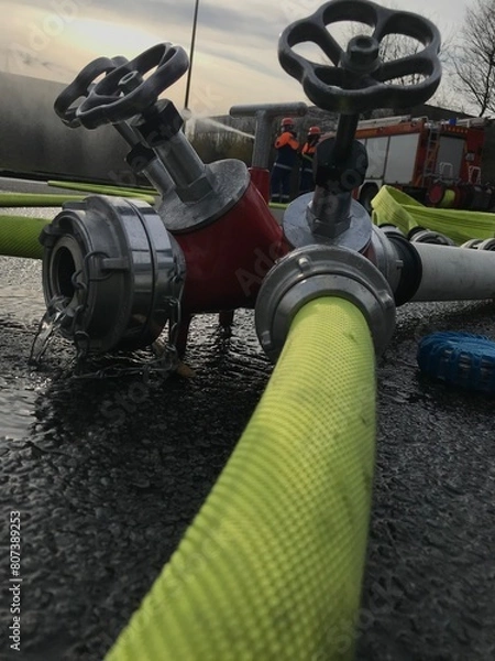 Fototapeta Verteiler