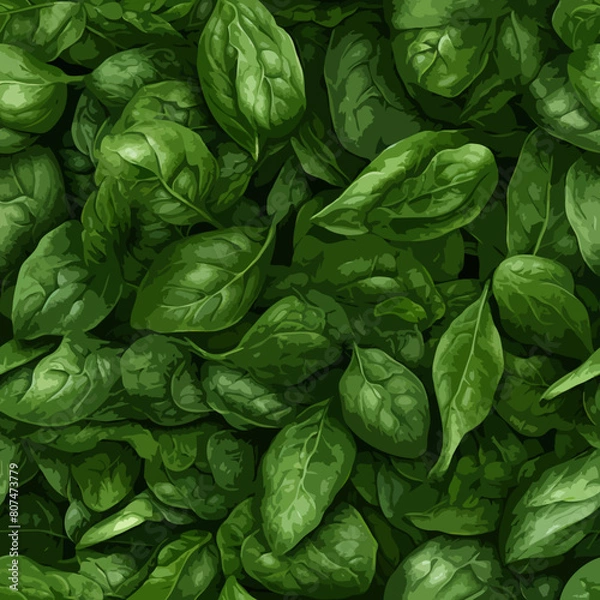 Fototapeta Seamless Colorful Spinach Pattern