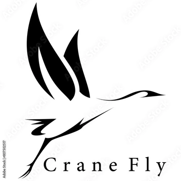 Obraz crane bird fly logo design vector	