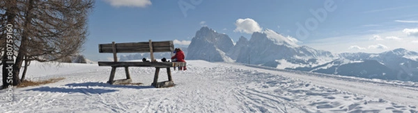 Obraz il panorama dei giganti
