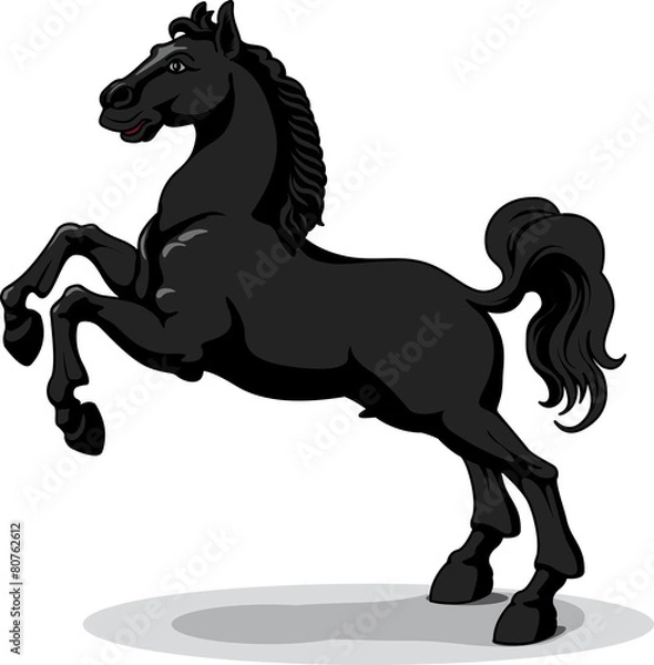 Obraz black horse - vector, isolated