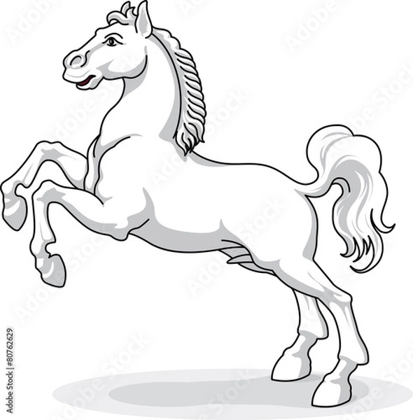 Obraz whitw horse - vector, isolated