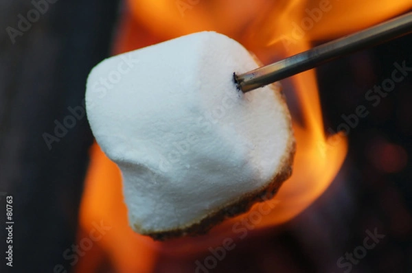 Obraz roasting marshmallow