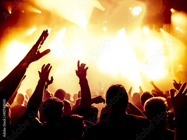 Fototapeta cheering crowd at concert
