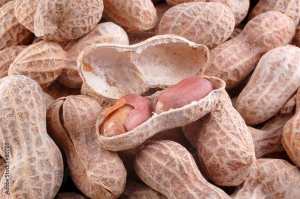 Obraz peanuts and shells