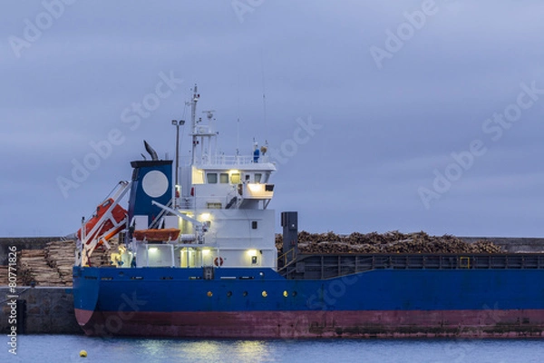 Obraz Barco mercante