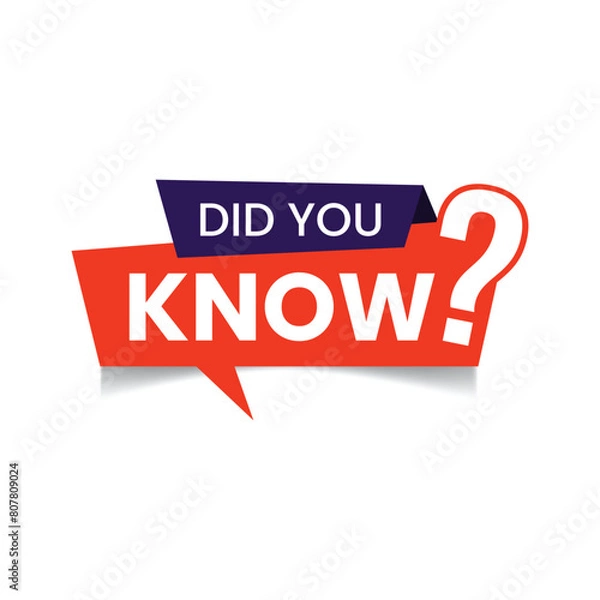 Obraz vector did you know modern style design
