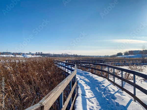 Obraz Une promenade enneigée le long d'une rivière gelée avec un pont et des roseaux, avec au loin la silhouette d'une ville