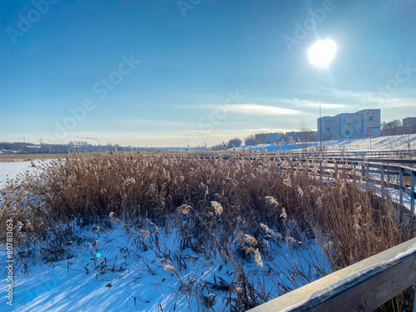 Obraz Une promenade enneigée le long d'une rivière gelée avec un pont et des roseaux, avec au loin la vue d'une ville sous le soleil