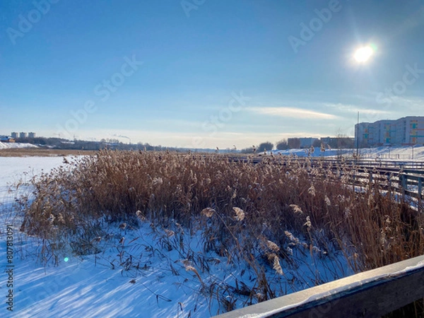 Obraz Une promenade d'hiver avec des ponts, des roseaux, et une rivière gelée, tout recouvert de neige