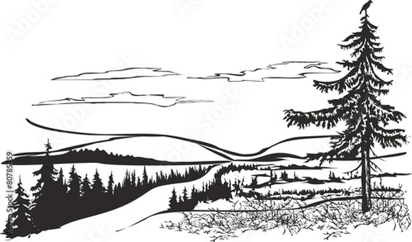 Obraz Northern landscape with crow.